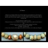 Perles en Faïence Persane ou Egyptienne. Antique or Ancient Beads.