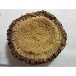 Perles vénitiennes et pendentif en andouiller de cerf sculpté.